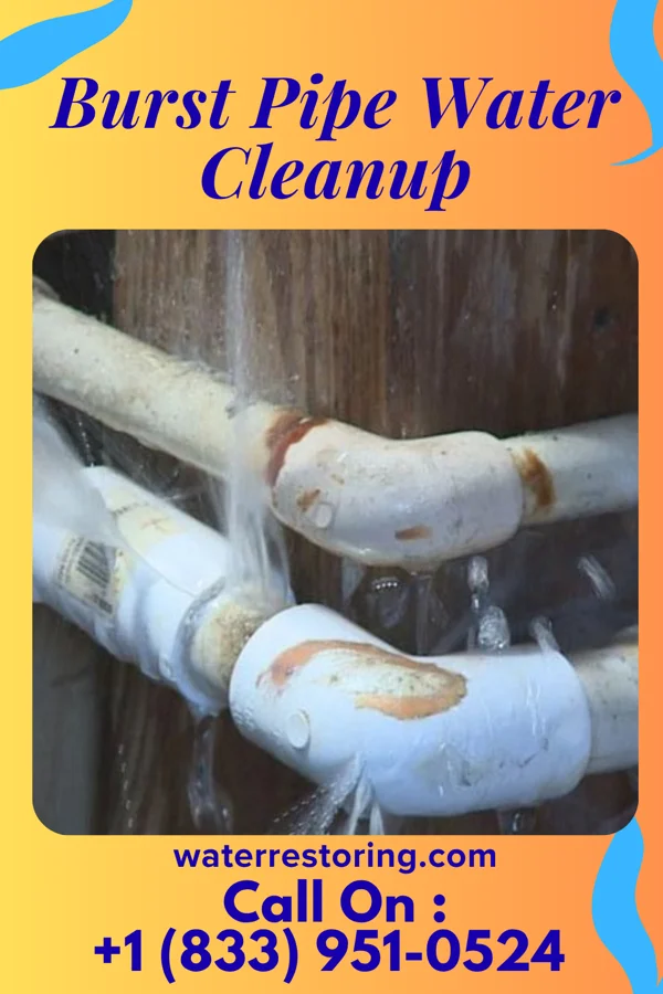 Burst Pipe Water Cleanup in Orrstown, PA