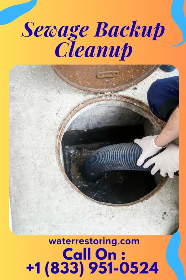 Sewage Backup Cleanup in Orrstown, PA